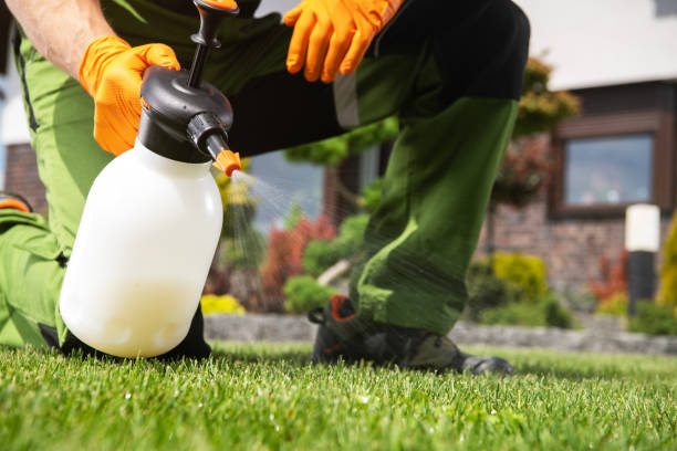 Best Wildlife Control Services  in Air Force Academy, CO
